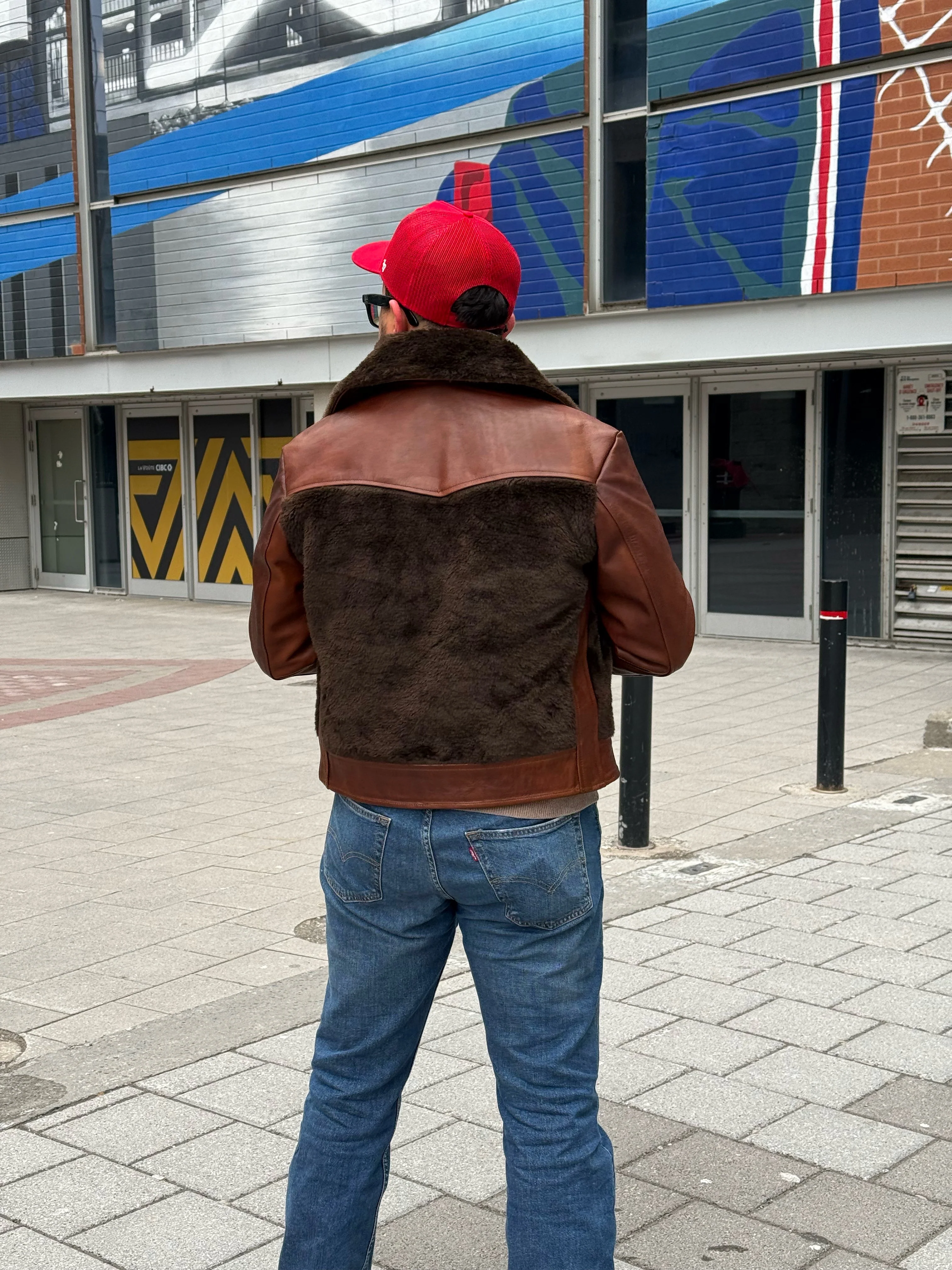 Teddy tabaco - Image 11